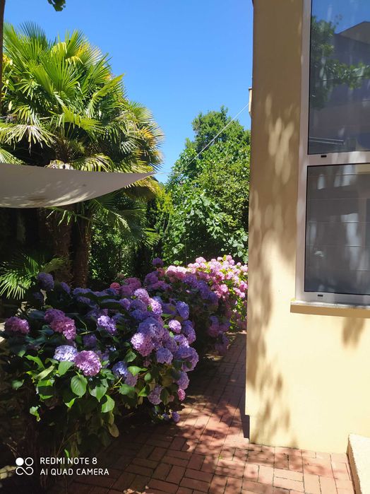 Magnifica moradia com jardim e moínho