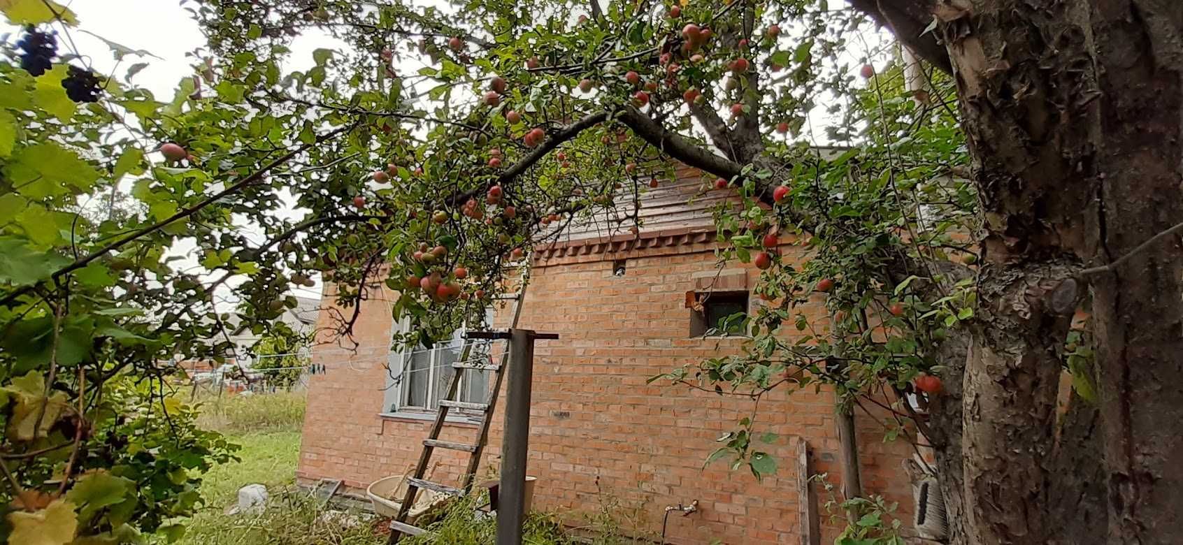 Продаж 1/2 будинку в с. Варовичі