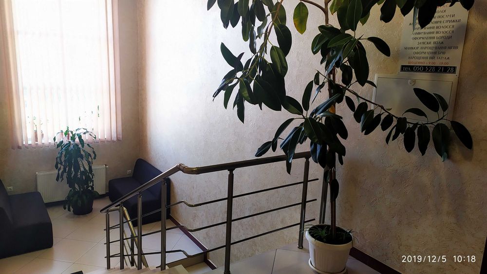 Залишилося одне приміщення 50 м2 Оренда комерція  Головна 246Р