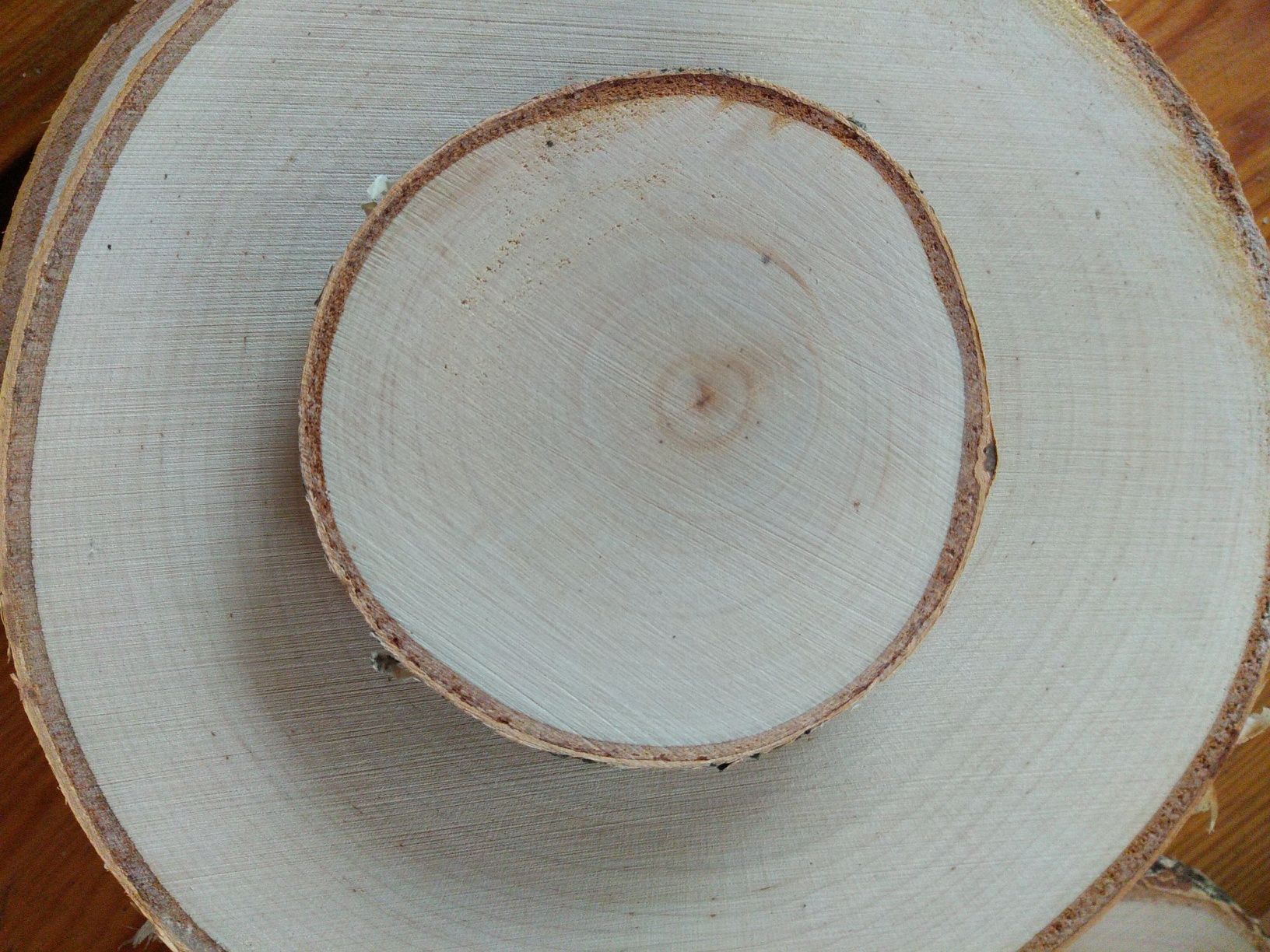 Plasterki drewna brzozowego krążki szlif ok 8 cm,