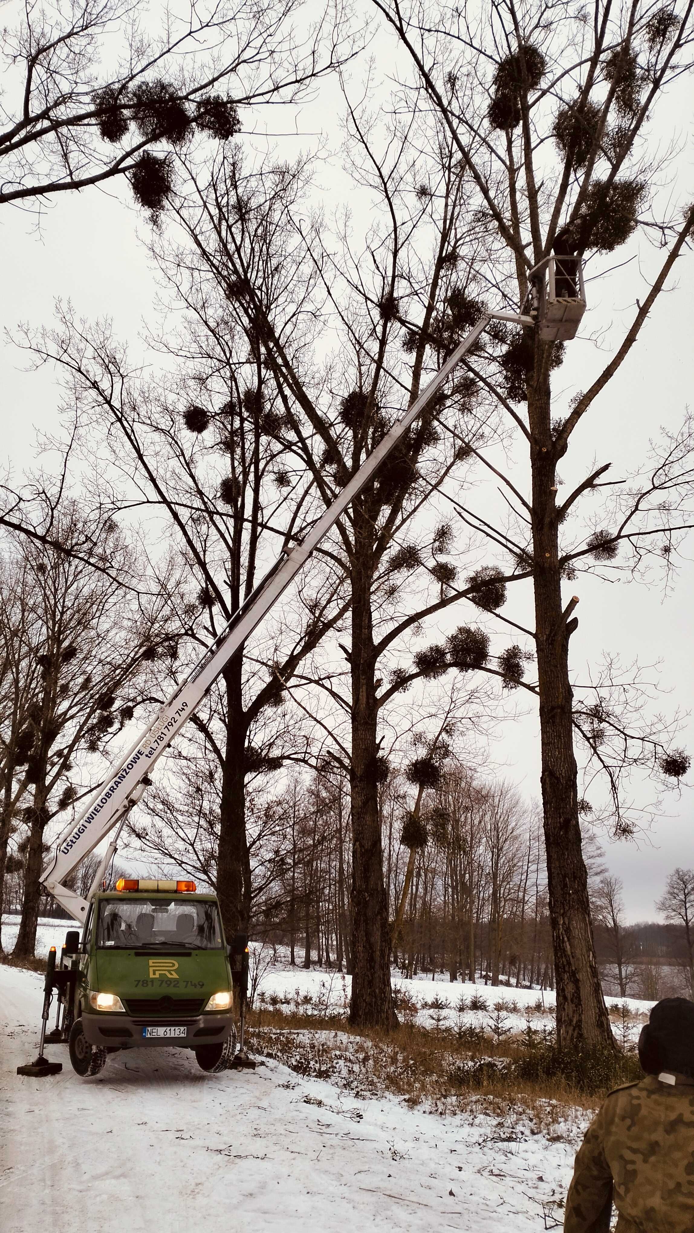 Usługi podnośnikiem koszowym,zwyżka  wynajem,podnośnik koszowy