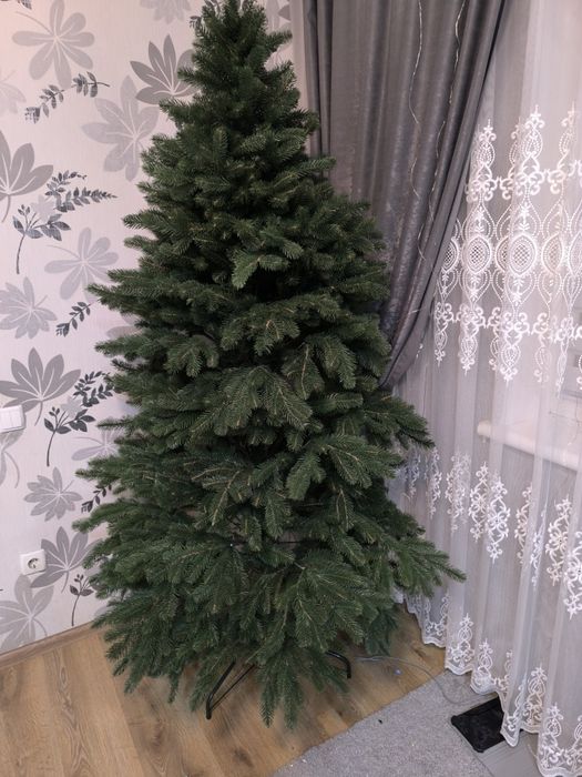 Продам ялинку Ковалівську литу