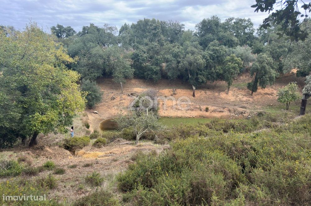 Monte Alentejano com Potencial Turístico a 8 km da Zambujeira do Mar