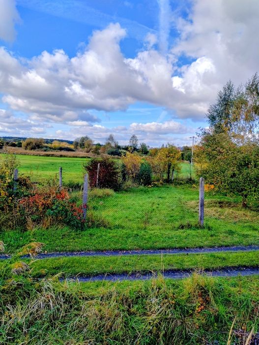 Dwie działki ogrodowe ROD z widokiem na łąkę