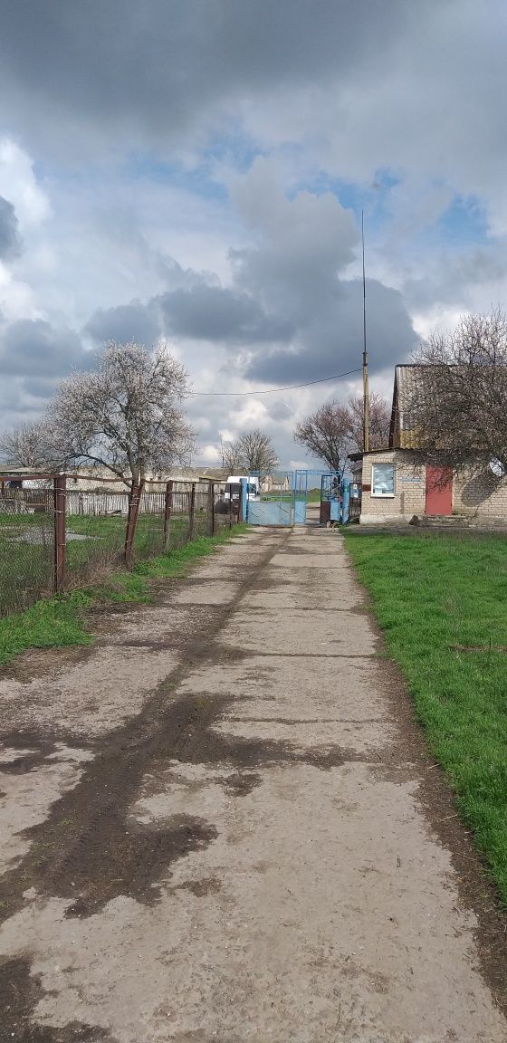 Складськи приміщеня та ферми для птиці і худоби