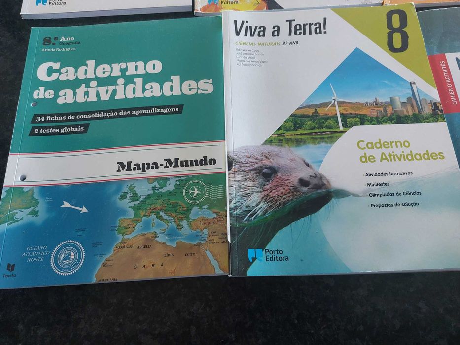 Cadernos de atividade 8ano