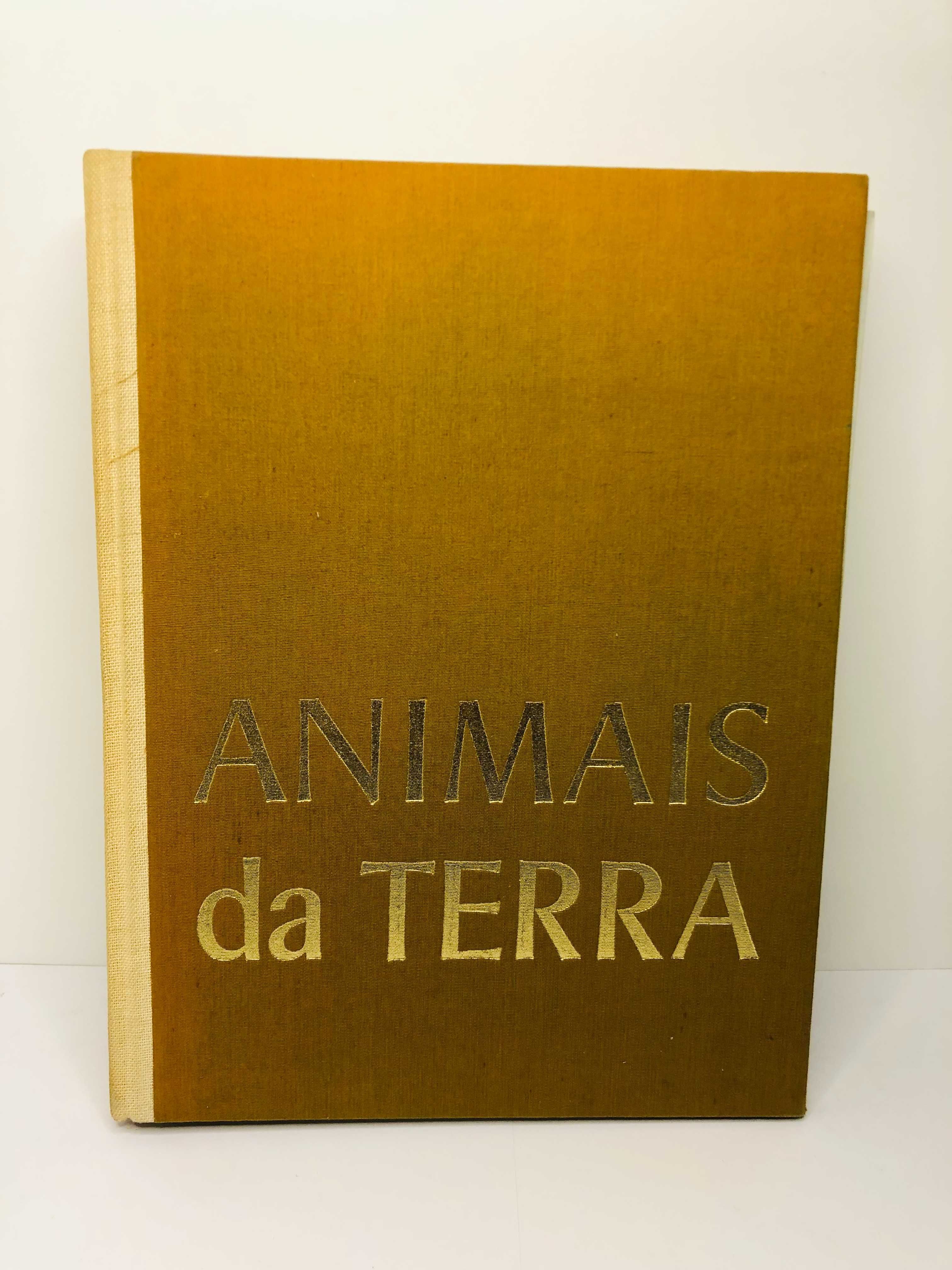 Animais da Terra (dos pólos ao Equador)