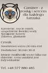 Opieka nad kotem - catsitter Wrocław