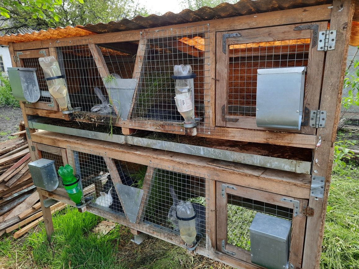 Продам Клітку для кролів.