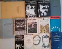 Literatura piękna polska i obca - autorzy różni