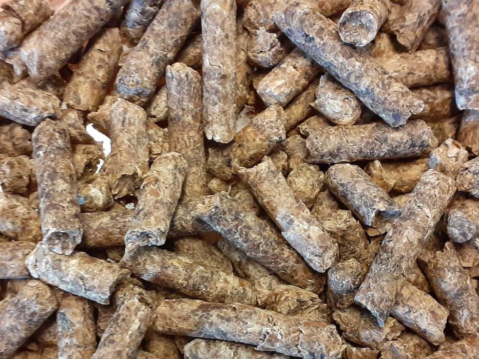 Wysłodki melasowane i niemelasowane