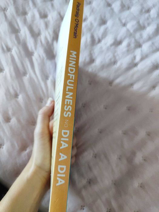Livro Mindfullness no dia a dia