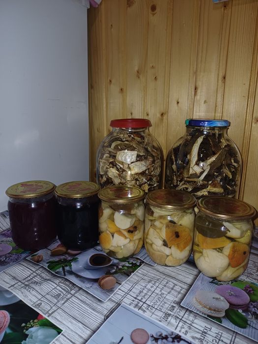 Бриби білі, сушені,  мариновані, варення чорниця , брусниця.