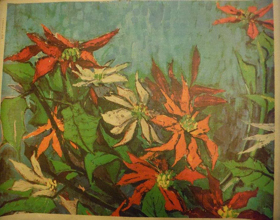 Telas Variadas 70x100