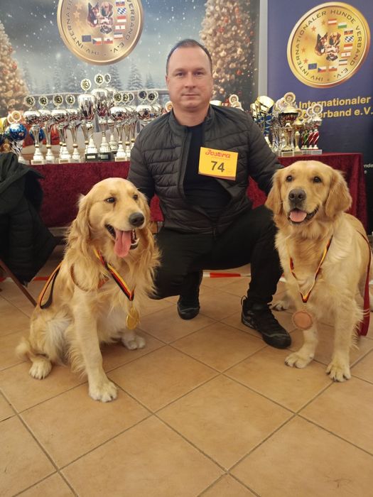 Golden Retriever po Championach