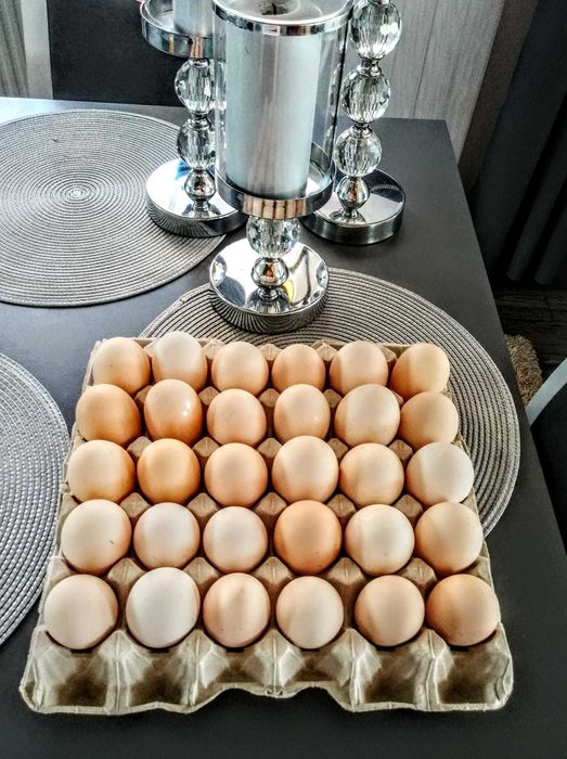 Jaja Wiejskie! Najtaniej w Jędrzejowie! Dowóz GRATIS!