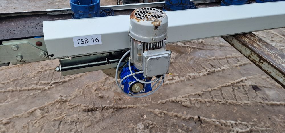 Przenośnik taśmowy taśmociąg podajnik 5mb doniczkarka