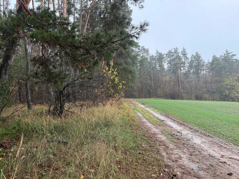 Продаж ділянки 335 соток біля лісу