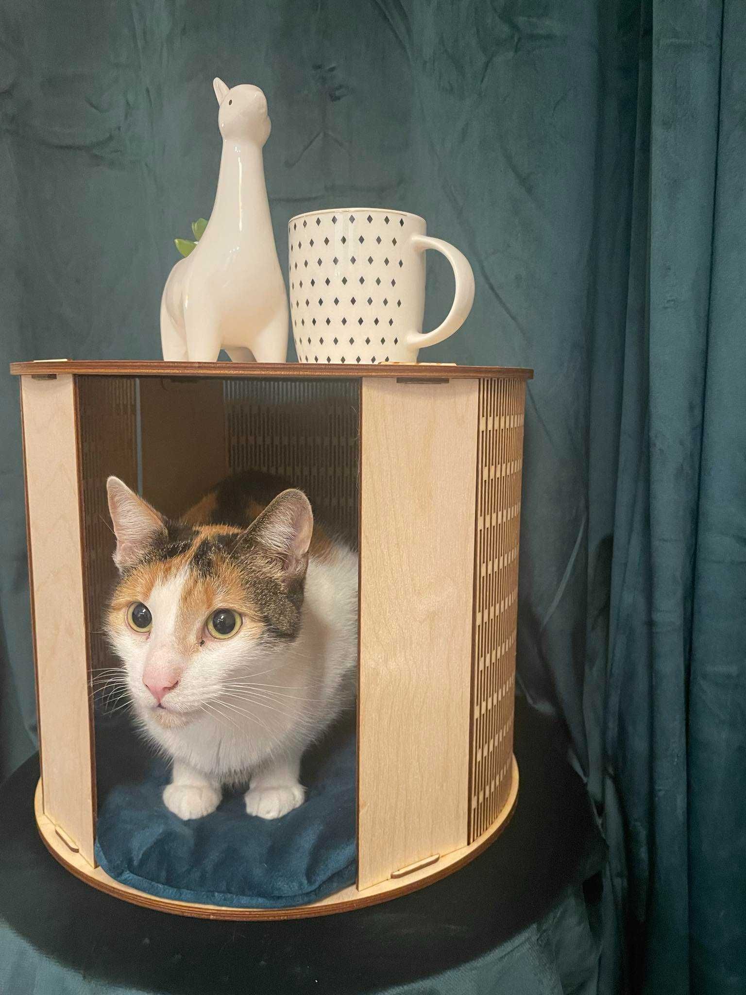 Legowisko, domek dla kota w formie stolika nocnego, kawowego