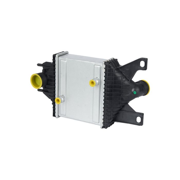 Радіатор інтеркулера Jaguar Land Rover EM831001