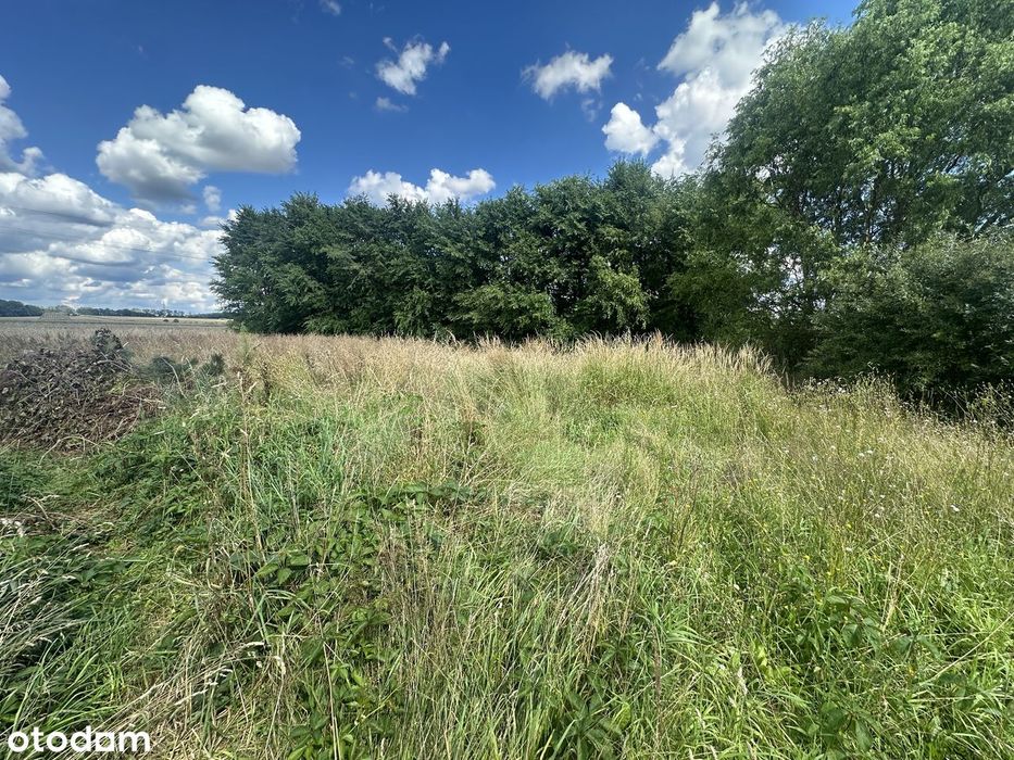 Gmina Zbrosławice/ Łubki. Działka budowlana