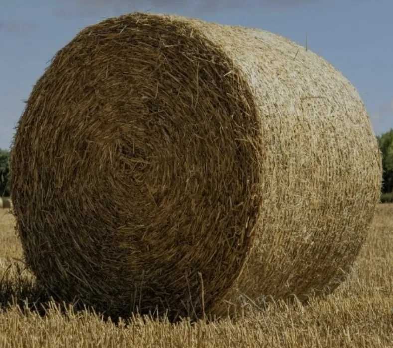 Słoma bele - sucha,  przetrzymywana pod dachem
