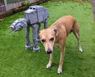 AT-AT 6789 części i 9 figurek; zamiennik LEGO