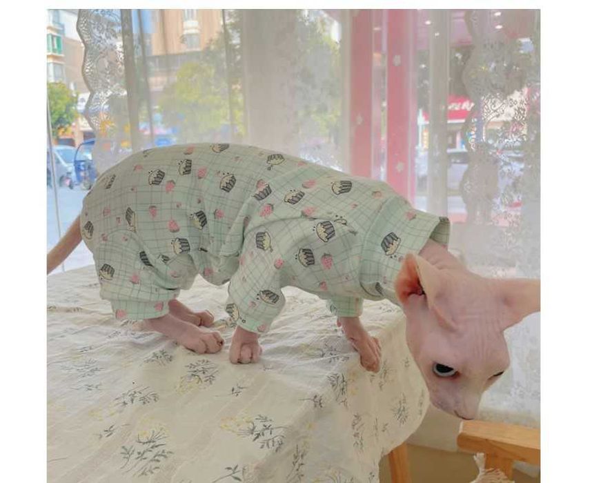 Зоотовари для котів та маленьких собак, переноска, одяг тощо