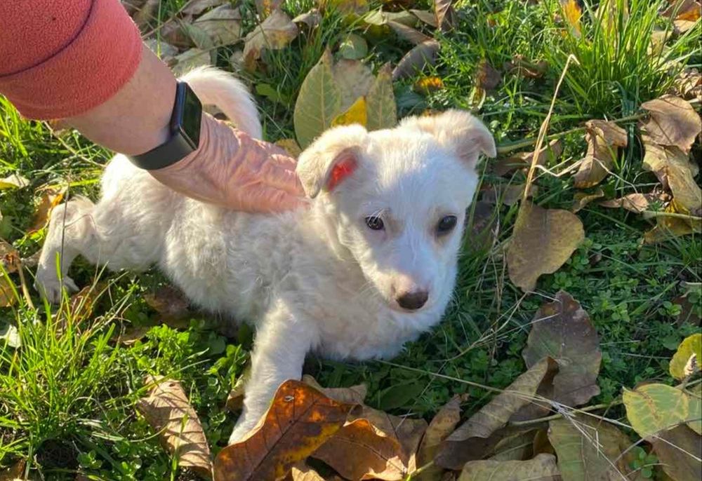 Отдам даром девочку