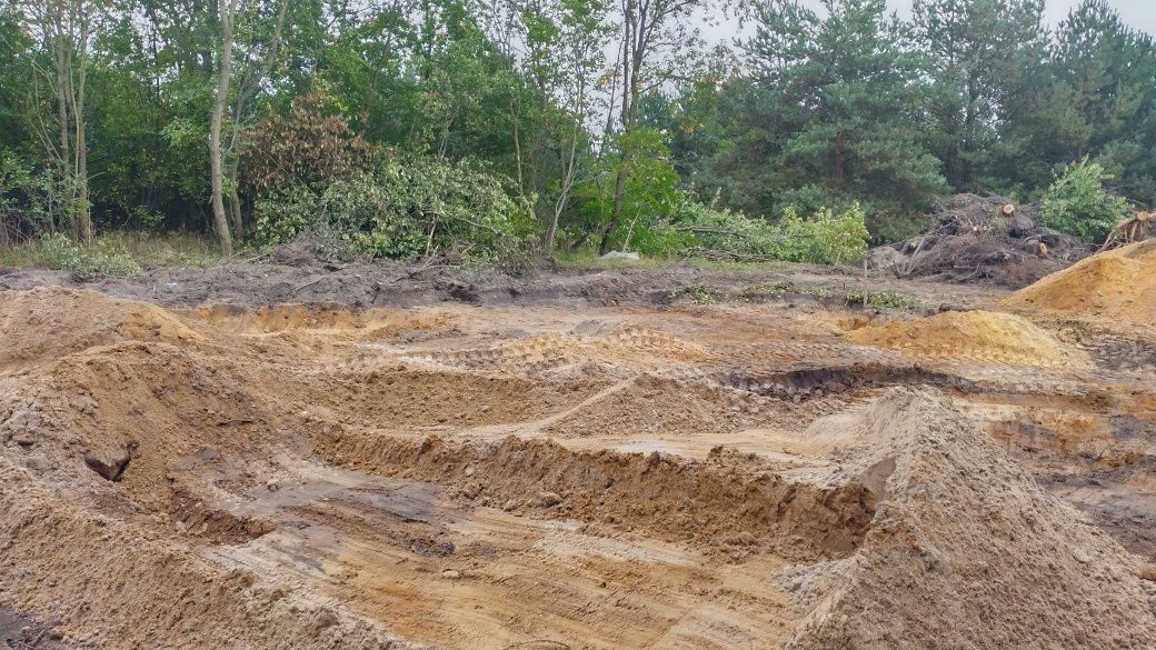 wycinka drzew za drewno usługi rębakiem utylizacja bioodpadów gałęzi