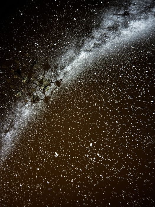 Проектор, нічник Зоряного неба Pococco Galaxy