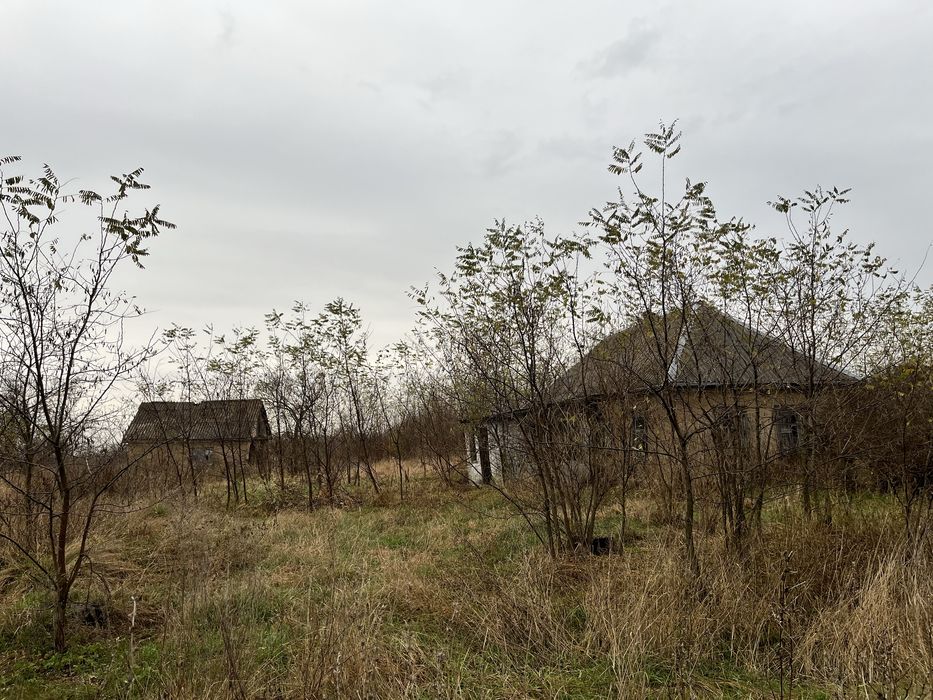 Земельна ділянка з 2-ма будівлями в селі Орлівщина