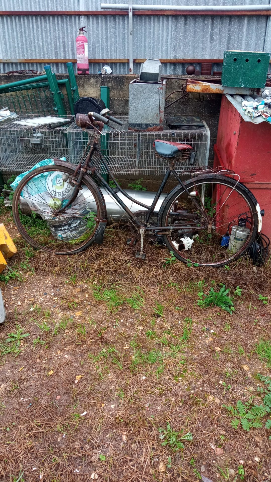 Bicicleta de senhora marca tricana