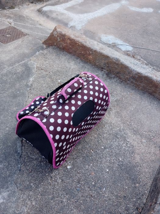 Transportadora para animais