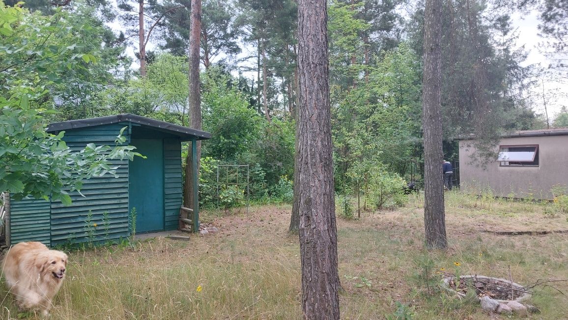 Sprzedam działkę z domkiem rekreacyjnym