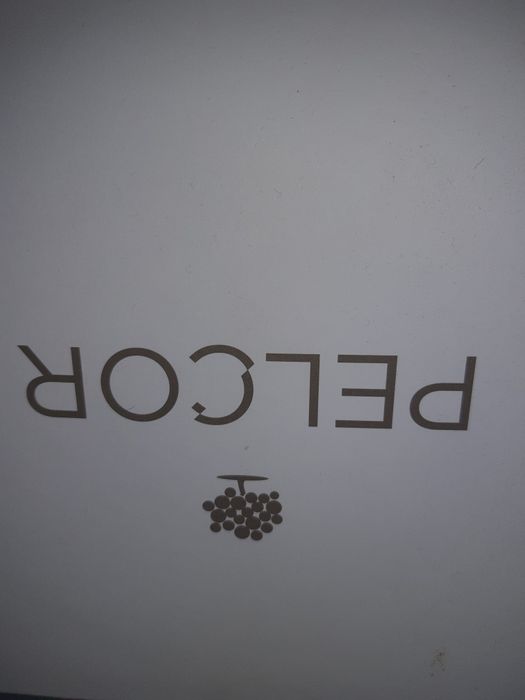 Boné de cortiça Pelcor NOVO com etiqueta