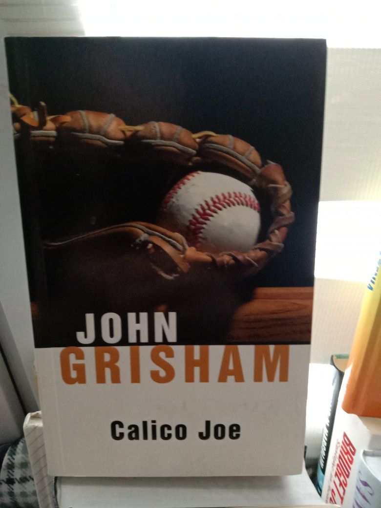 Calico Joe , John Grisham.