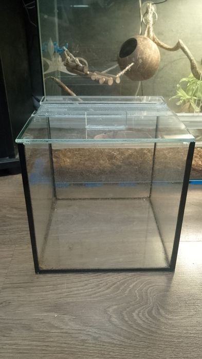 Терраріум 20х20х20