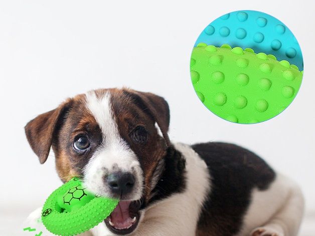 Zestaw 2 szt lateksowe frisbee dla psa pomarańczowe niebieskie piszczy