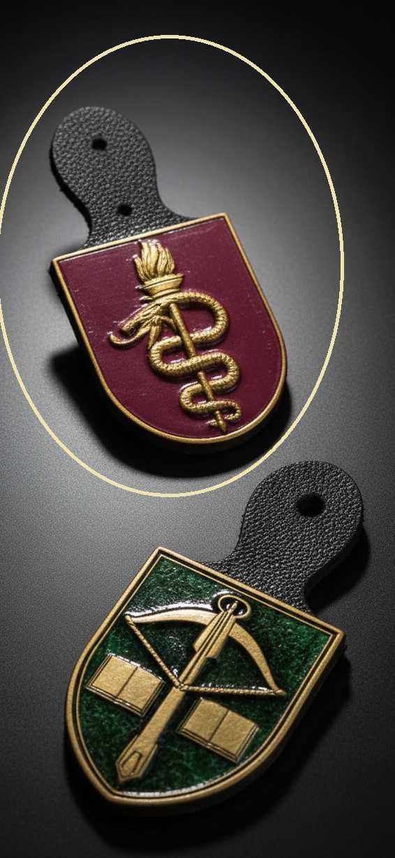 Crachá militar da ESSM