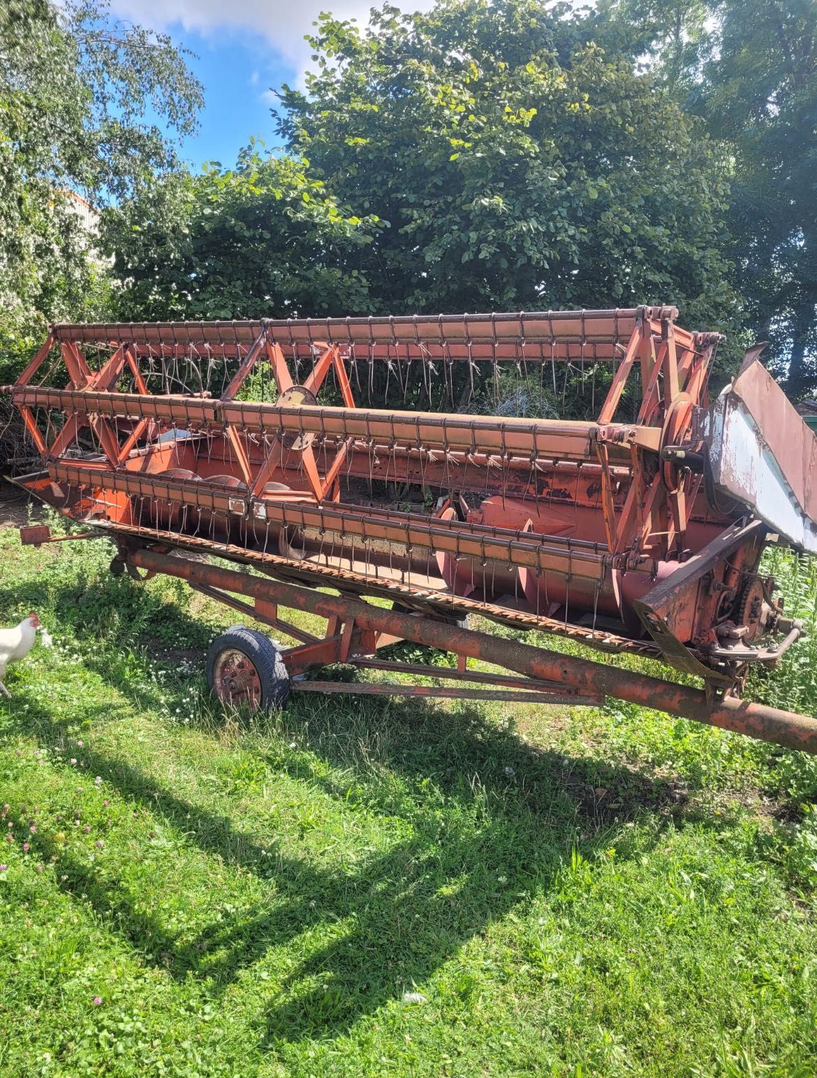 Kombajn Zbożowy Bizon Super ZO56