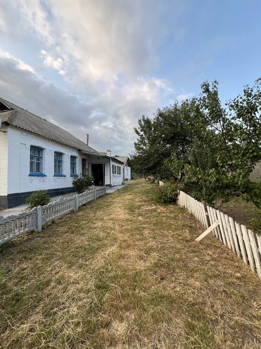 Будинок з великим подвірʼям та городом с. Ольшаниця