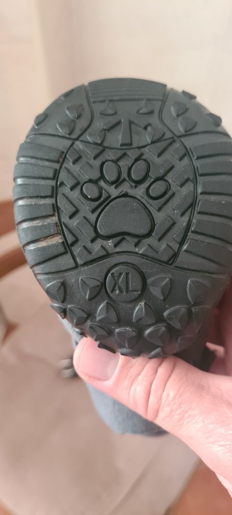 Bota protetora veterinaria cao medicina
