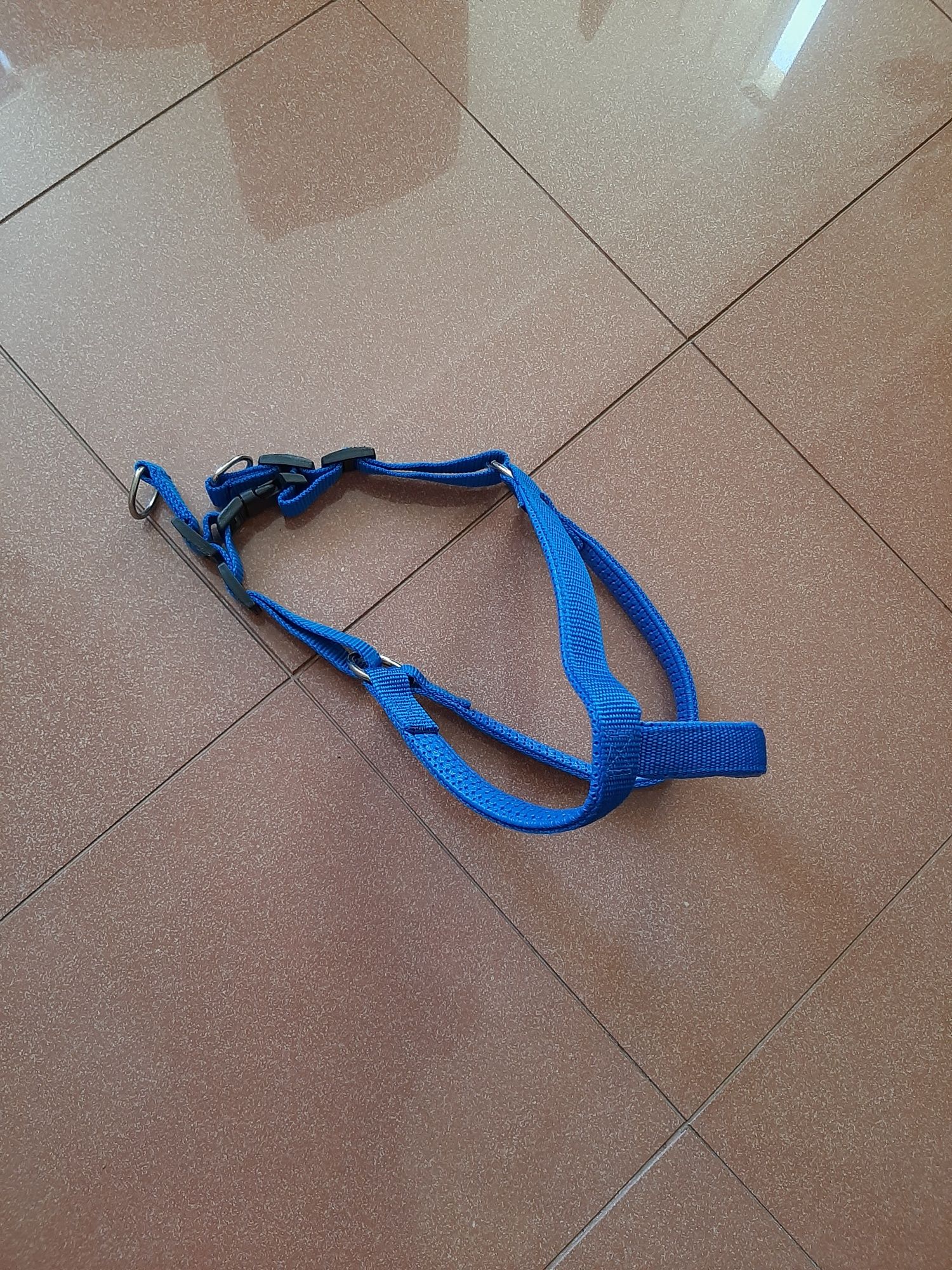 Peitoral Azul Cão Porte Médio