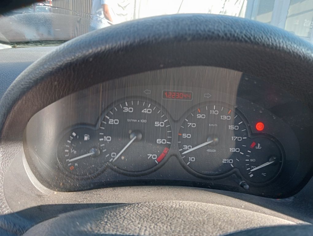 Peugeot 206 gasolina