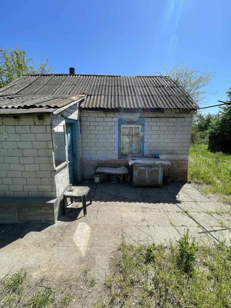 Будинок, земельна ділянка, капітальний гараж, дача. Дімітрова
