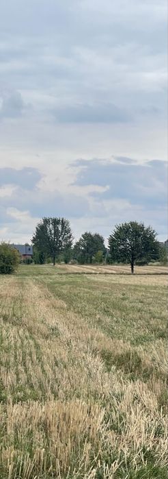 Sprzedam Działkę Rolną