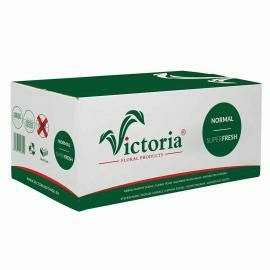 Флористична піна оазис Victoria оптом (ціни в описі)