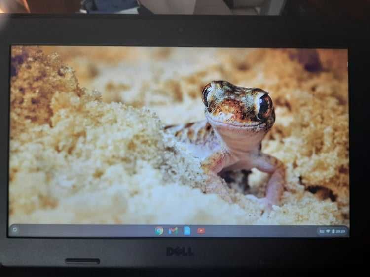 хромбук США надійний ноут ультра нет Dell Chromebook оригінал