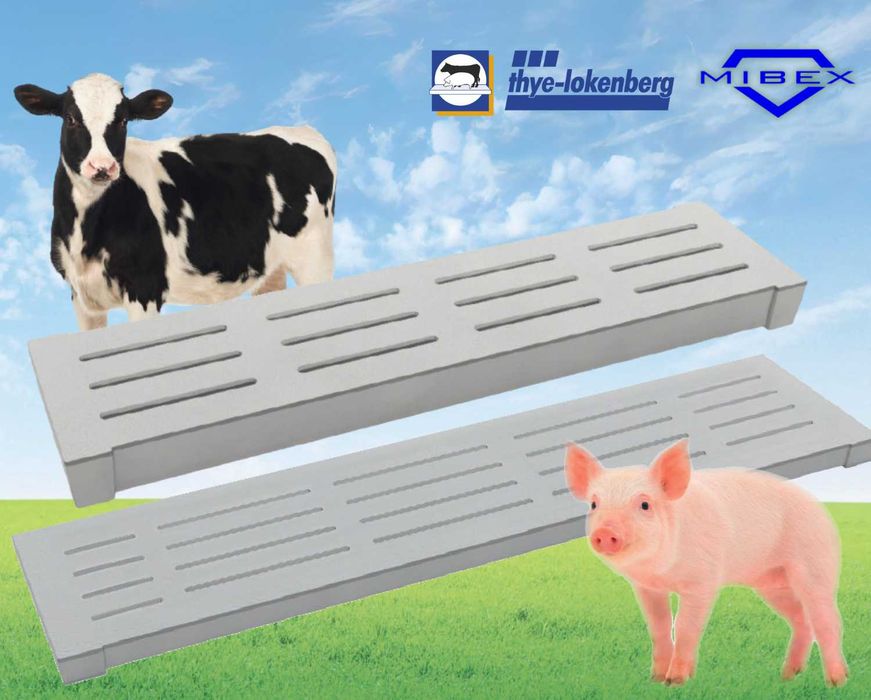 ruszta betonowe dla zwierząt